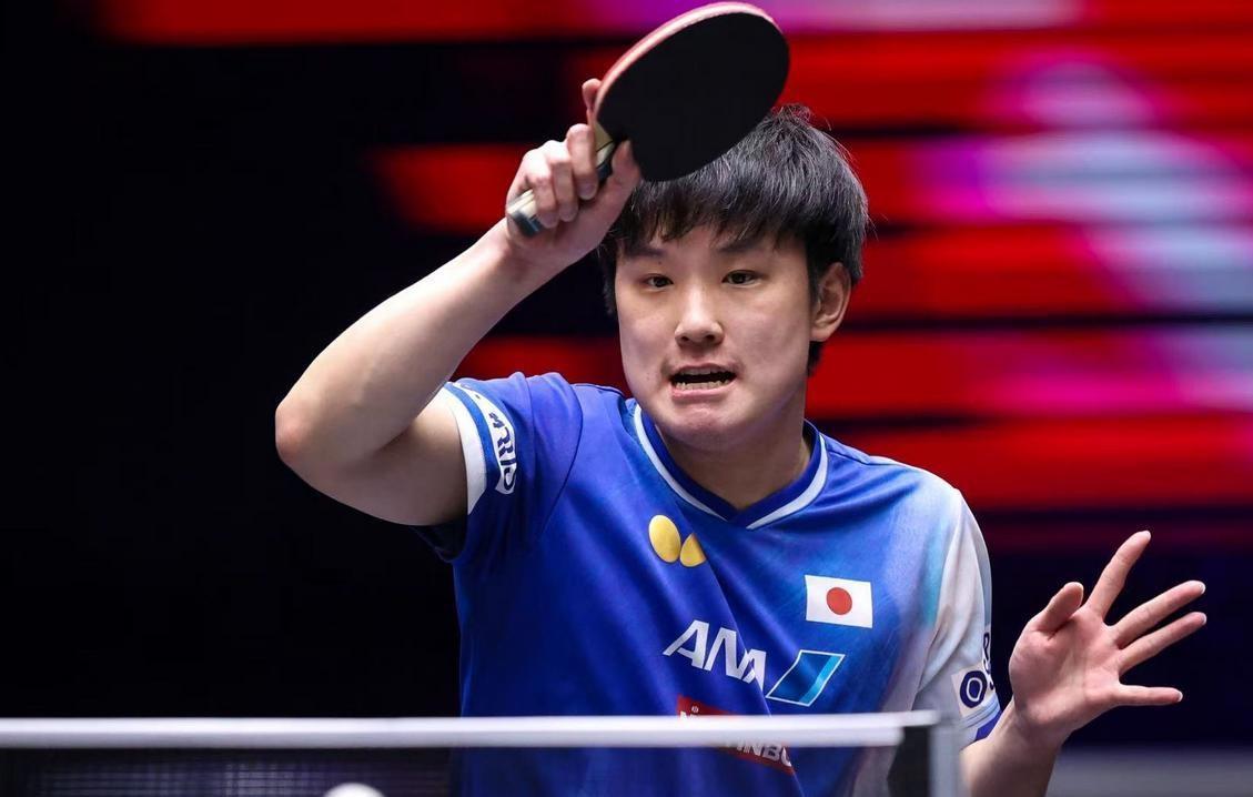 奥地利队逆转英格兰队，张本智和状态火热