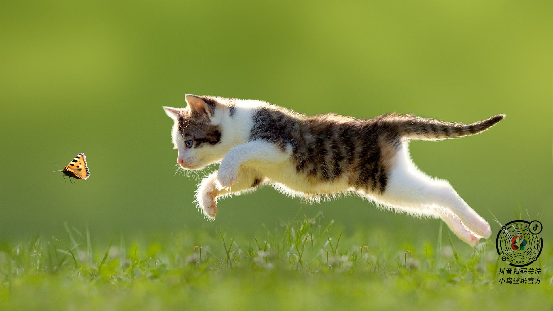 开云体育入口-佩德里，暗夜独舞者—年度焦点之战中的绝对主宰