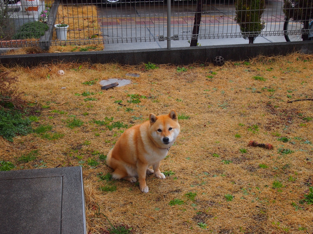 萨拉赫闪耀英伦，美国新军破局，足球世界的两极爆发