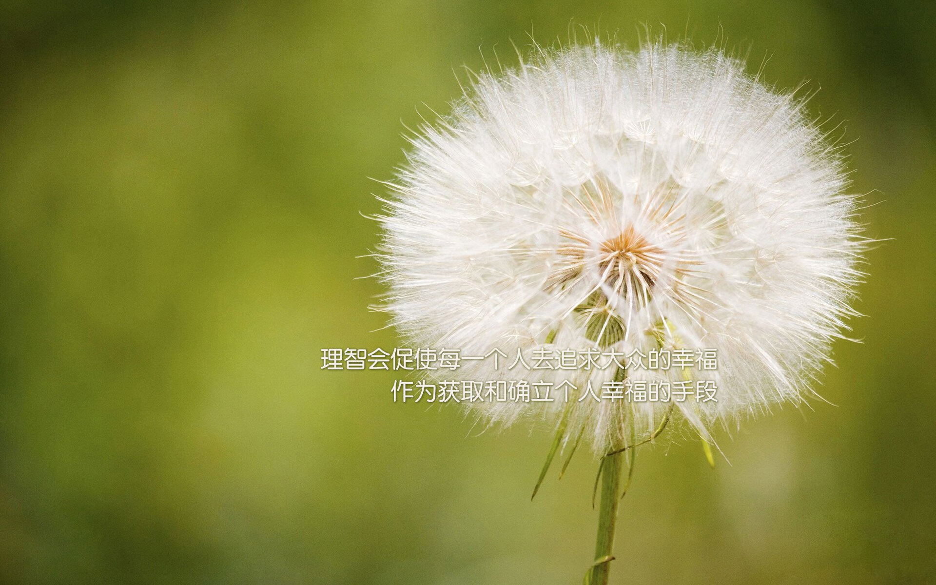 守护神降临北岸花园，当篮球场上的库尔图瓦统治东决关键之夜