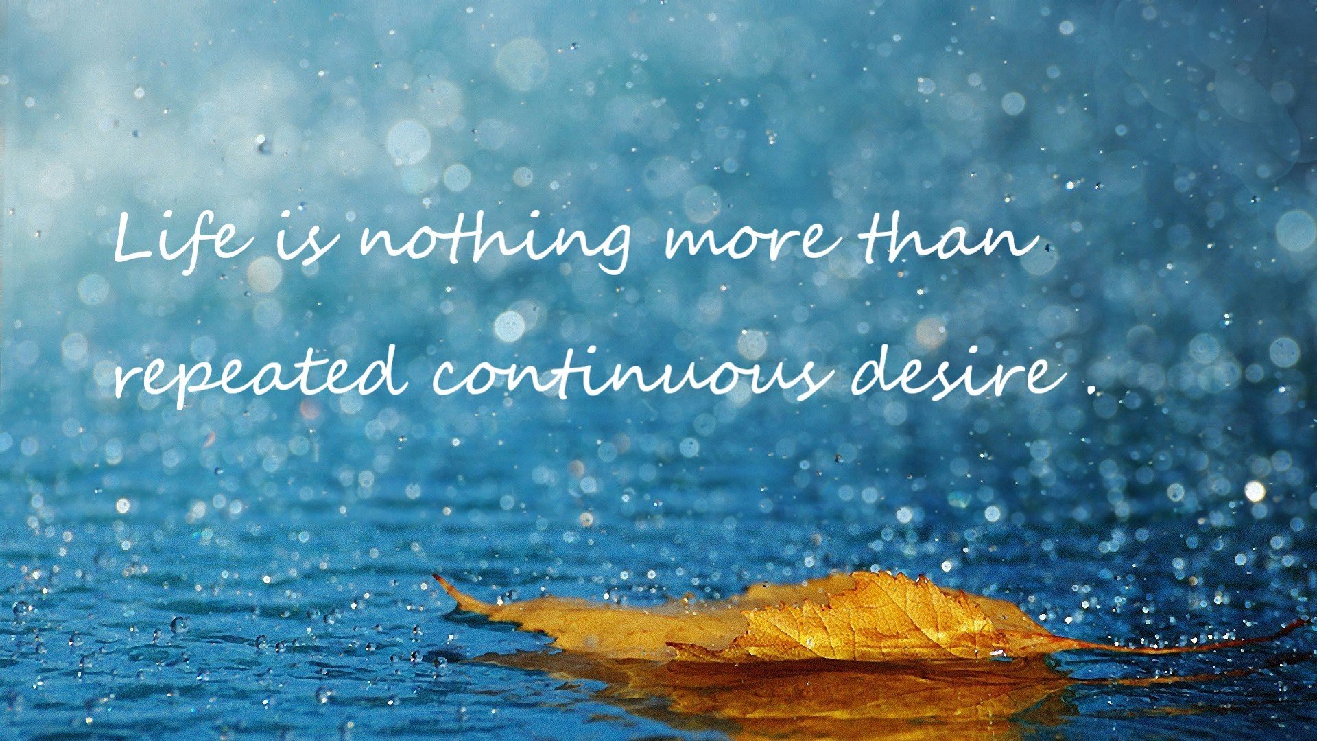 开云体育APP下载-一剑西来，七剑下天山—当德罗赞用中投镌刻历史，广厦以团队之剑锁定胜局