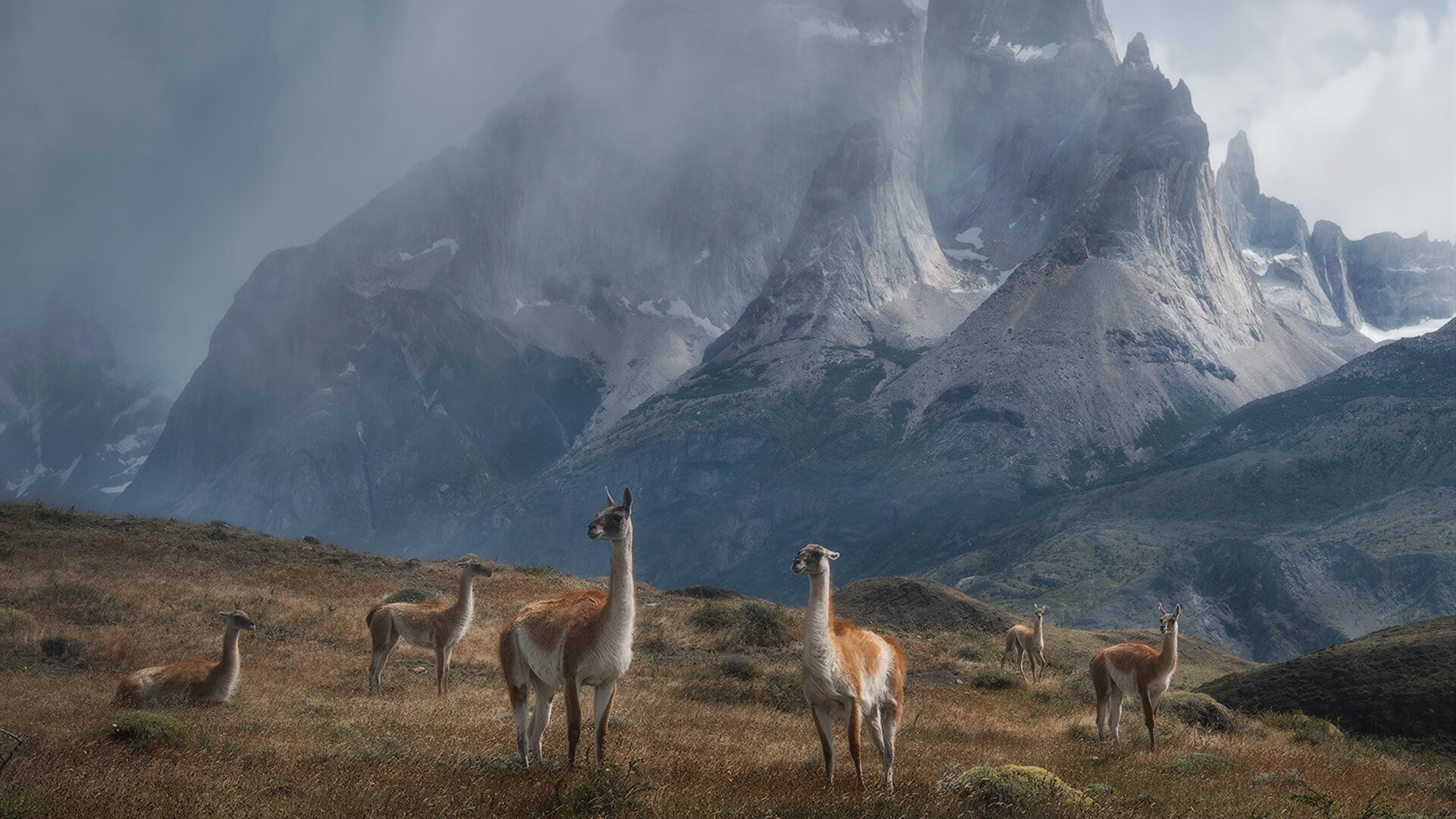 开云体育中国-战术博弈的胜利，广东队焦点战中全面压制山西队