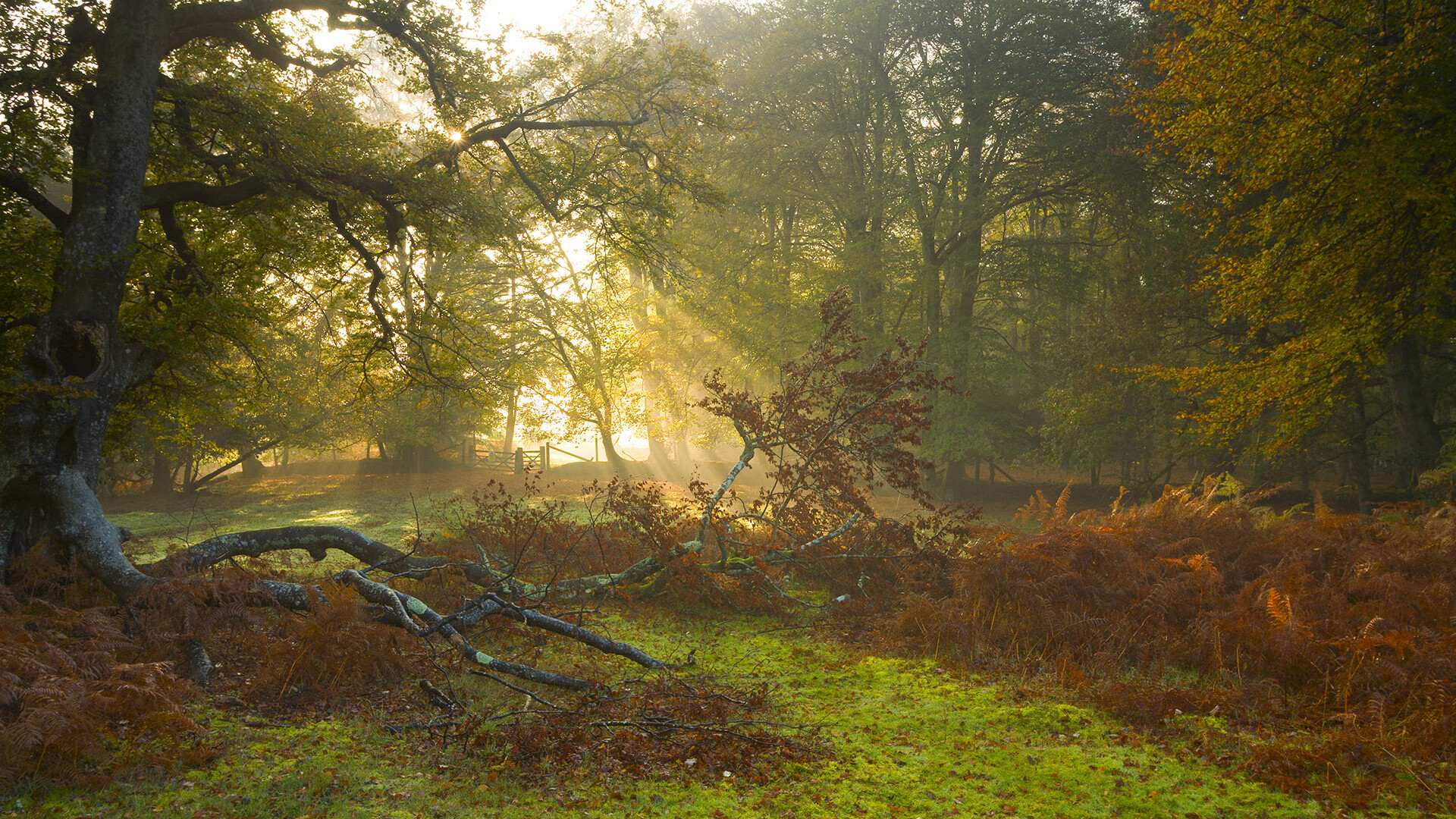 时代的沙漏,一个夜晚,两种王者—孙兴慜的孤星闪耀与西班牙的银河奔流