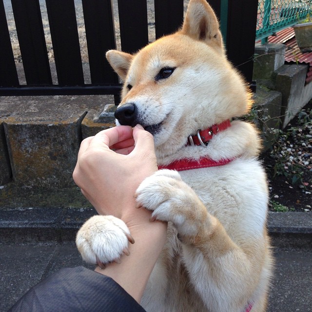 钢铁意志击穿铁血防线，德国足球的复兴在欧洲之巅绽放