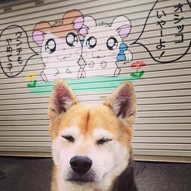 开云体育-从华沙到蒙扎，当钢铁防线遇见赛道诗人—姆巴佩的跨界征服