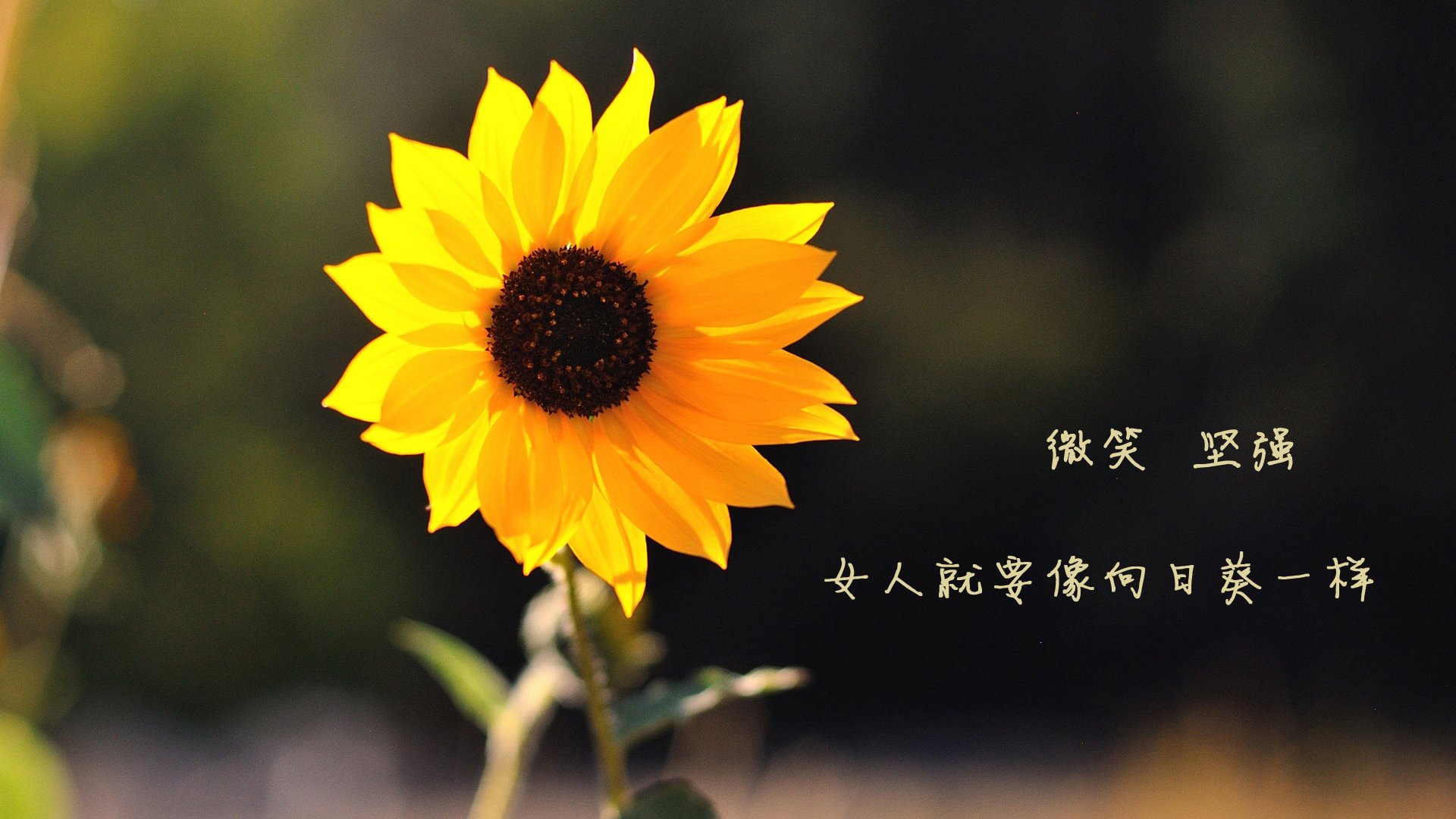 开云sport-长城失守！雄鹿鏖战攻陷广东主场，恩比德化身关键先生定乾坤