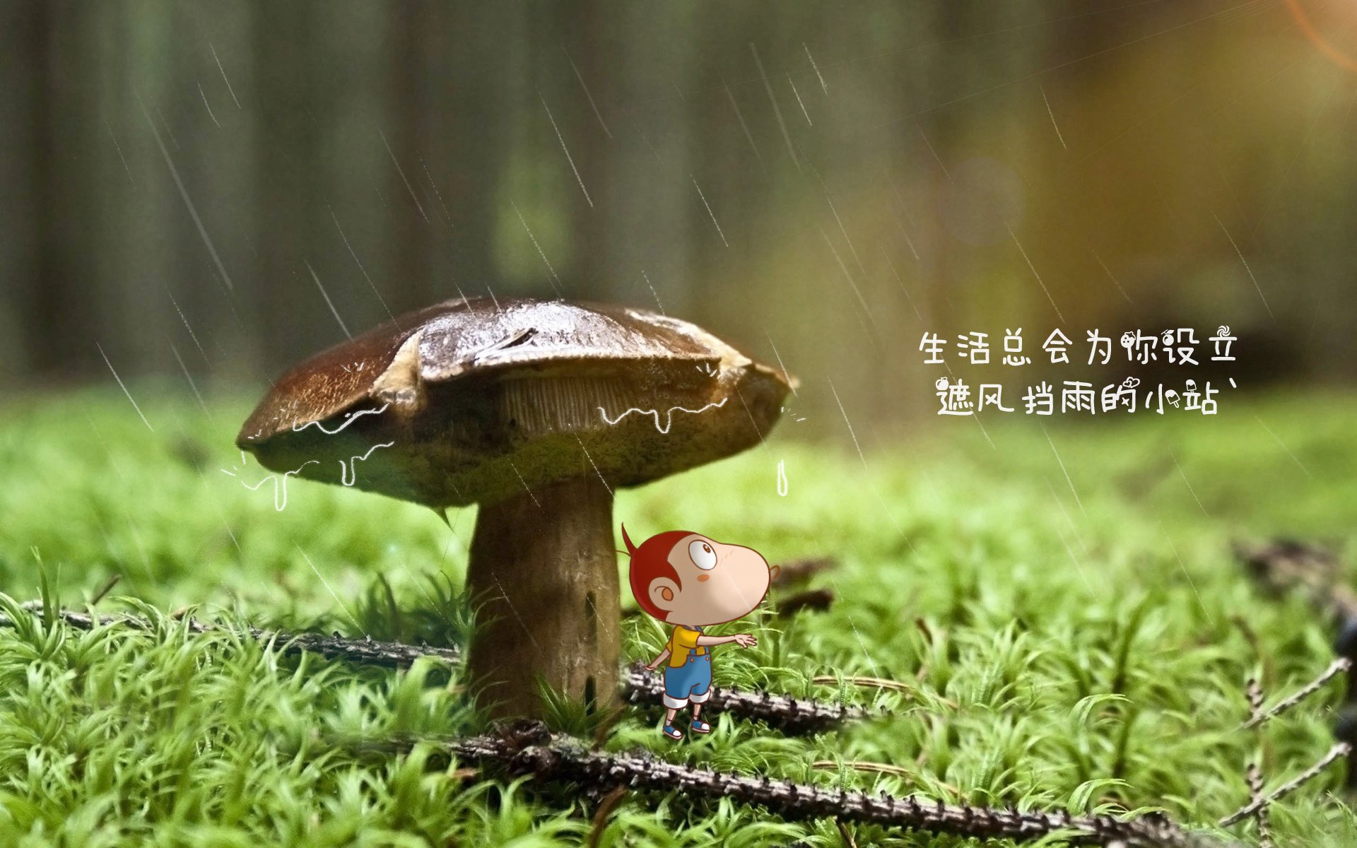 开云体育登录-颠覆与重构，2026世界杯D组，日本武士刀下的新秩序—从罗德里戈的闪耀到攻守转换的终极美学