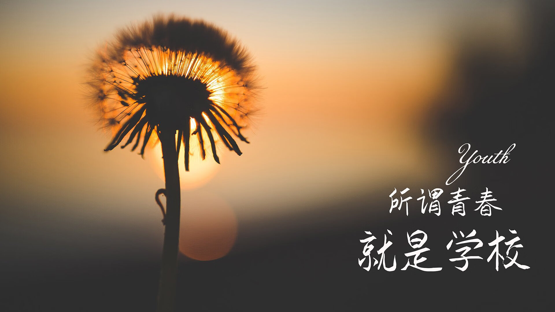 破晓·斗牛士之殇，德布劳内以节奏为刃，在东方朝霞中雕刻世界杯冷门经典